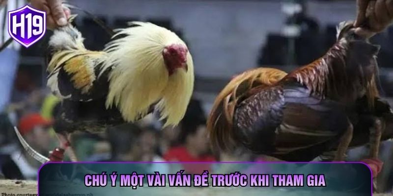 Chú ý một vài vấn đề trước khi tham gia