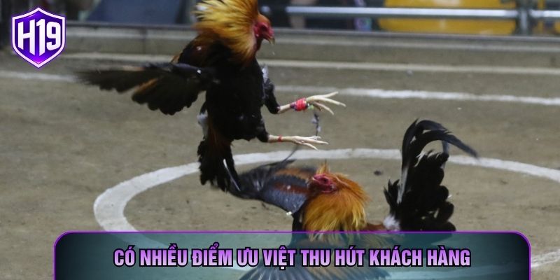 Có nhiều điểm ưu việt thu hút khách hàng