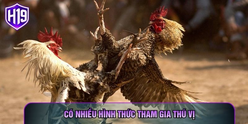 Có nhiều hình thức tham gia thú vị