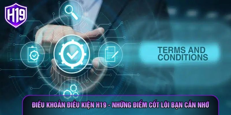 Điều Khoản Điều Kiện H19 - Những Điểm Cốt Lõi Bạn Cần Nhớ