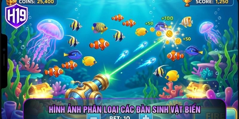 Hình ảnh phân loại các đàn sinh vật biển