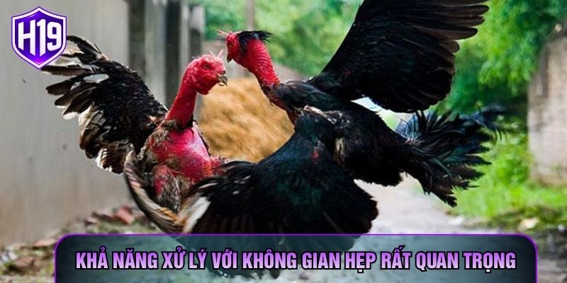 Khả năng xử lý với không gian hẹp rất quan trọng