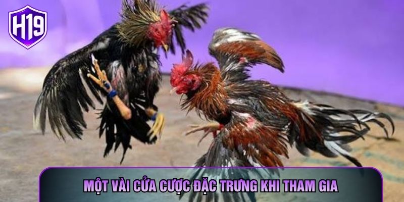 Một vài cửa cược đặc trưng khi tham gia