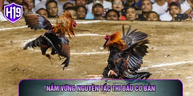 Nắm vững nguyên tắc thi đấu cơ bản