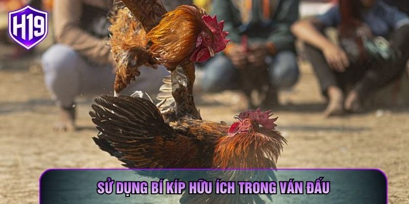 Sử dụng bí kíp hữu ích trong ván đấu